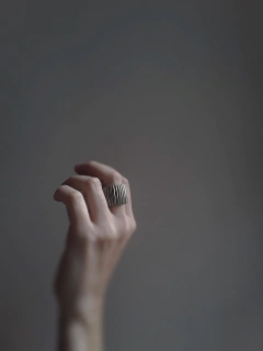 Anillo Armadura II ▽ Listo para retirar en internet