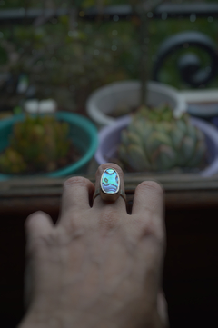 Anillo Mineral Haliotis ▽ Listo para entregar - tienda online