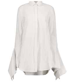 TILINGA SHIRT on internet