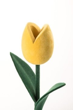 Tulipa e Botão Velvet