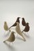 EAMES bird en internet