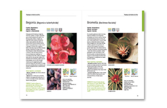 150 plantas fáciles - Colección Jardín - comprar online
