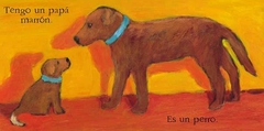 Los colores - Libros del Oso