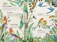 El gran libro de las aves - Libros del Oso