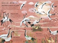 El gran libro de las aves - comprar online