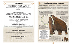 Animales de la Prehistoria - Historias Gráficas en internet
