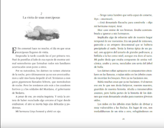 La superviviente - Libros del Oso