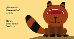 Todos bostezan - Libros del Oso