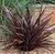 Formio Rubra envase 5 lts. - comprar online