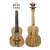 Ukelele Electroacustico Concierto De Maple Ashland Uk248eq - comprar online