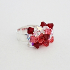 ANILLO RACIMO en internet