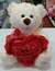 PELUCHE OSO 27 28 CM