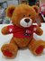 PELUCHE OSO 24 25CM