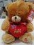 PELUCHE OSO 24 25 CM