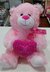 PELUCHE OSO 24 25CM