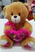 PELUCHE OSO 24 25CM