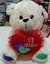 PELUCHE OSO 25CM