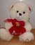 PELUCHE OSO