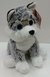 PELUCHE PERRO 25CM