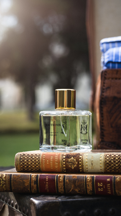 Perfume South Fox - comprar online