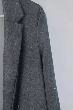Blazer Shine en internet