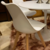 Silla Tulip con almohadón