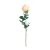 Rama rosa beige FA402/2