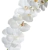 Orquídea blanca FA115/3.3