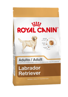 Royal Canin Labrador Retiever Adult