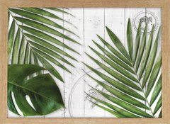 PilPad modelo Palmera en internet