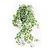 Hiedra Colgante Variegada - B18 - comprar online