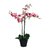 Orquídea Phalaenopsis "ORQUIDEA MARIPOSA" - 1 vara - M14 - tienda online