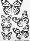 LAMINA DE TRANSFERGLUE 002