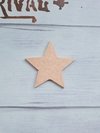 ESTRELLA MEDIANA 7X7CM DE FIBROFÁCIL