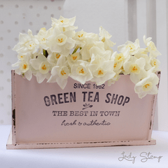 GREEN TEA C.025 - comprar online