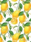 Fondo Limones S369