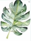HOJA MONSTERA - SUBLIMACION A3