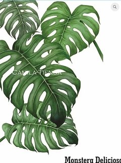 MONSTERA DELICIOSA - SUBLIMACION A3