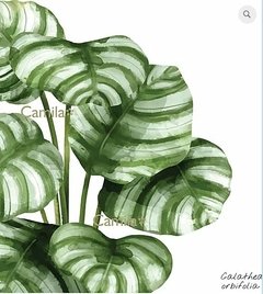 PLANTA 1 - SUBLIMACION A3