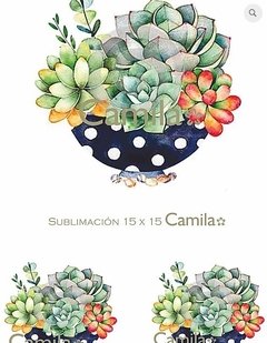 SUCULENTA CON MACETA SU135 - SUBLIMACION A4