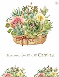 SUCULENTAS EN MACETA SU129 - SUBLIMACION A4