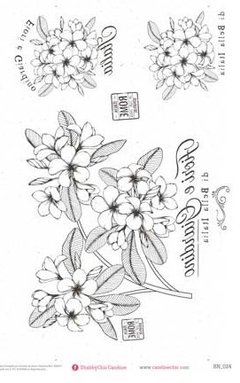 TBN024