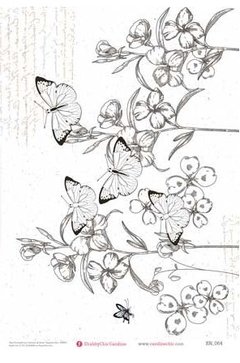 TBN064