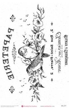 TBN077
