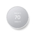 GOOGLE NEST SNOW en internet