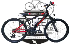 CLIMBER 150 RODADO 24 18V en internet