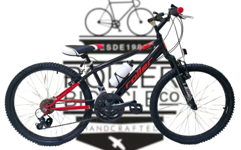 CLIMBER 150 RODADO 24 18V