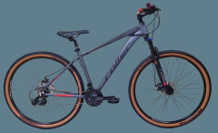 CLIMBER 180 R29 en internet