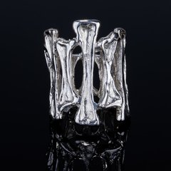 Anillo Partenón
