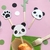 kit pandas en internet